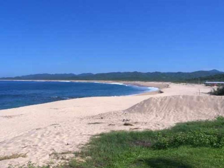 VENDO TERRENO FRENTA AL MAR 20 HECTAERAS EN MAYTO CABO CORRI - 5