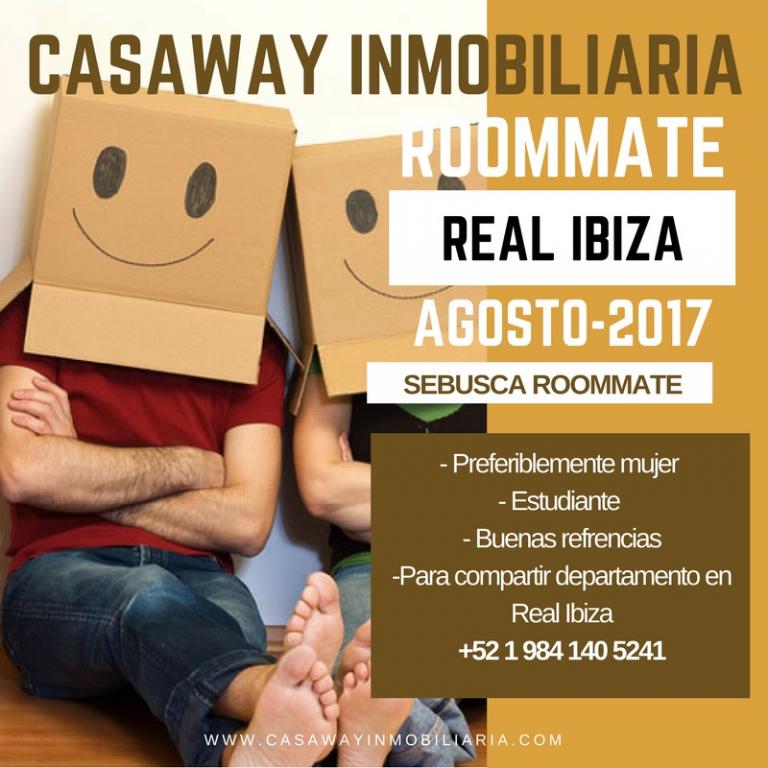 Se busca roommate