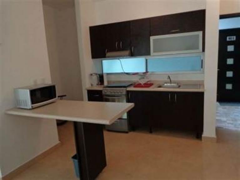 DEPARTAMENTO EN RENTA PUNTA ESTRELLA — foto 4
