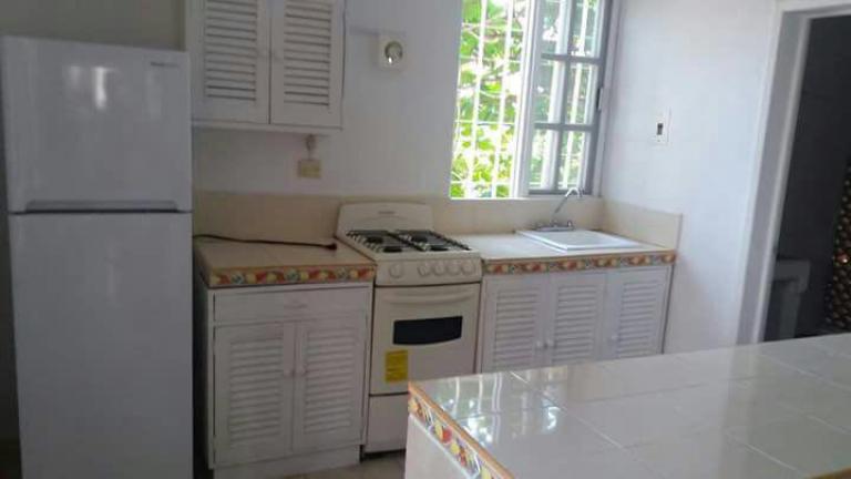 DEPARTAMENTO EN RENTA CÉNTRICO — foto 8