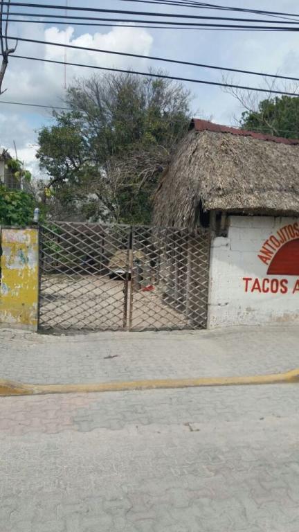 TERRENO EN TULUM A LA VENTA $17,000,000 PESOS, TULUM, Q. ROO - 1