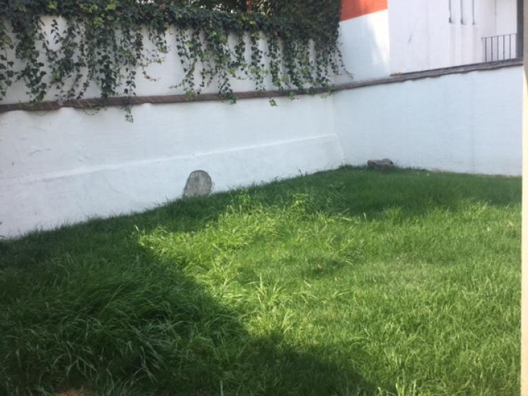 Casa en renta con jardín, Fuente de Plazuela - 3