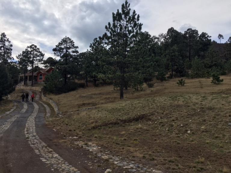 VENTA DE FRACCIONAMIENTO CAMPESTRE EN COAHUILA — foto 6