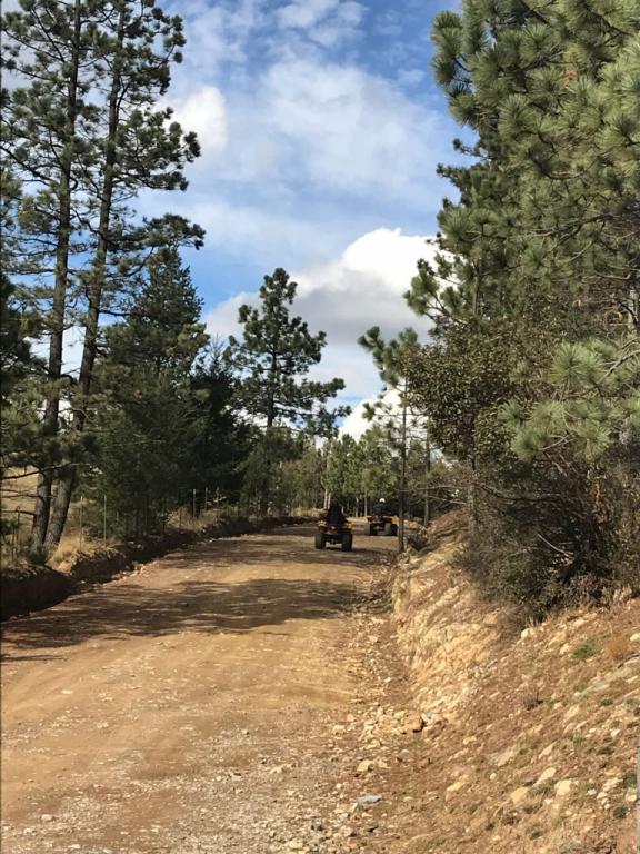 VENTA DE FRACCIONAMIENTO CAMPESTRE EN COAHUILA — foto 8
