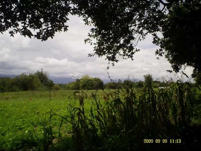 LOTES; CON PALNO GRATIS - 3