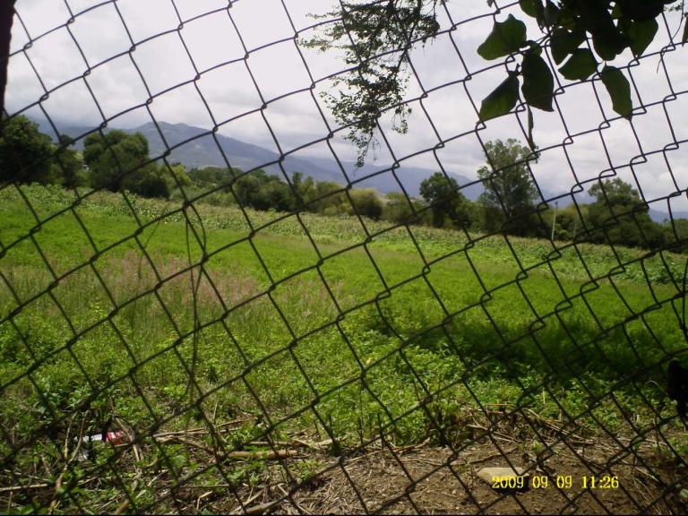 LOTES; CON PALNO GRATIS - 5