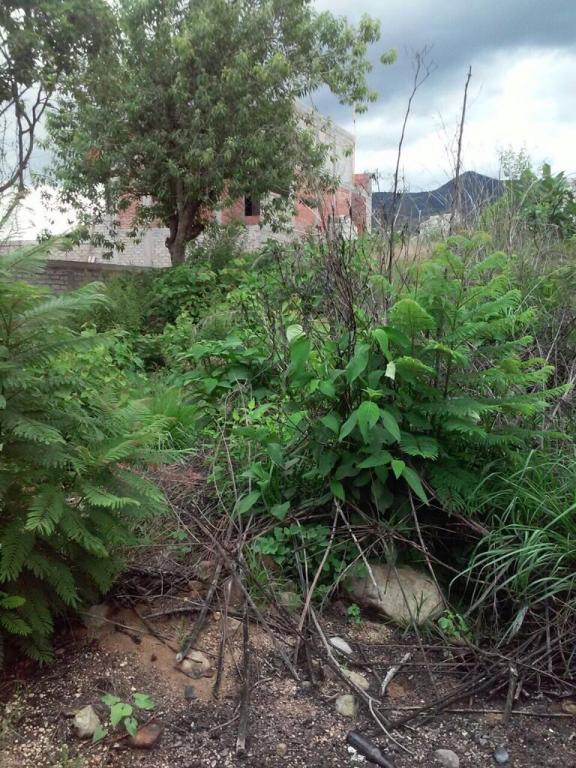 TERRENO EN VENTA - 2