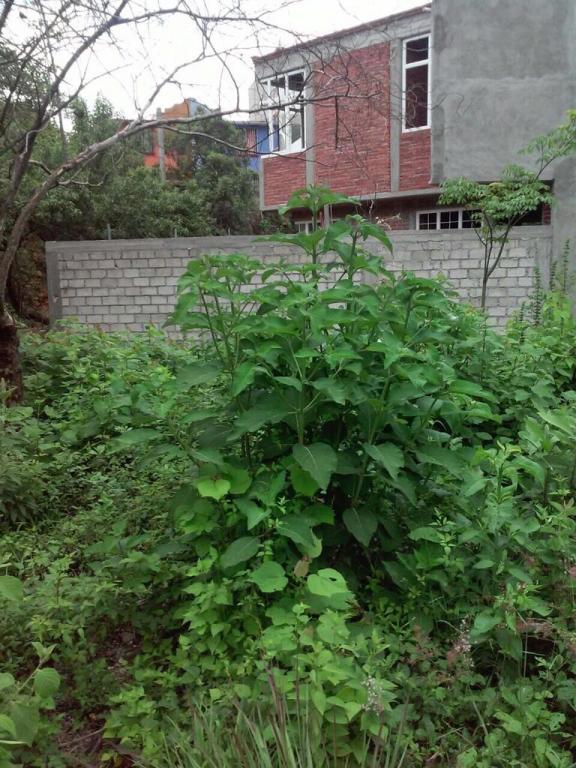 TERRENO EN VENTA - 3