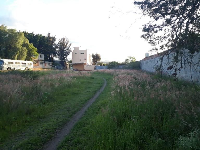 Propiedad sobre carretera Federal 190 san sebastian Etla Oax - 3