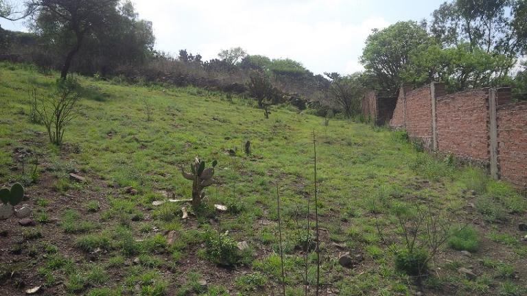 TERRENO EN VENTA ATOTONILCO DE TULA - 2