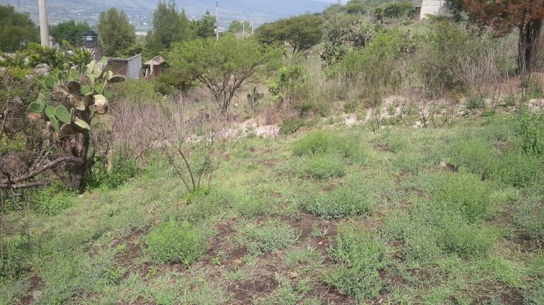TERRENO EN VENTA ATOTONILCO DE TULA - 4