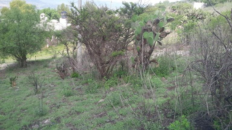TERRENO EN VENTA ATOTONILCO DE TULA - 5