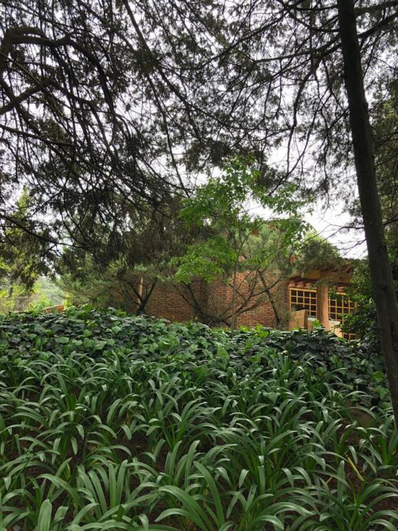 RANCHO SAN FRANCISCO, CASA IDEAL PARA FAMILIA, ENORMES JARDI - 4