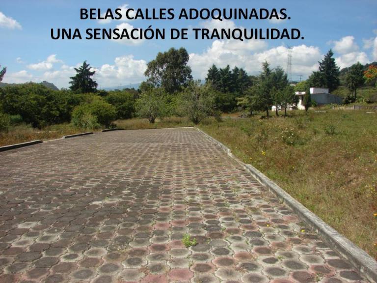 Colinas del Paraiso - 12
