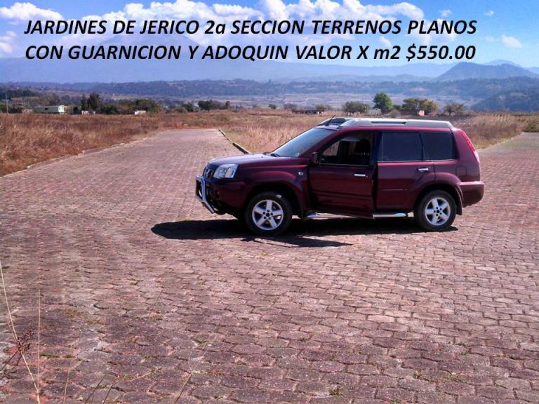 Jardines de Jerico - 7