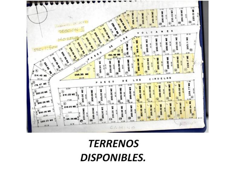 Jardines de Jerico - 10