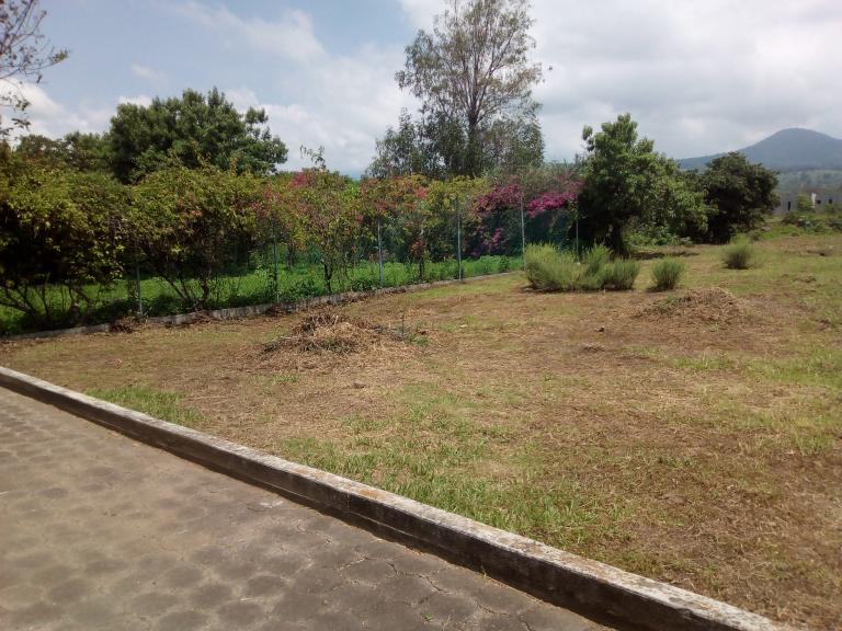 terreno en morelos 1200 metros - 1
