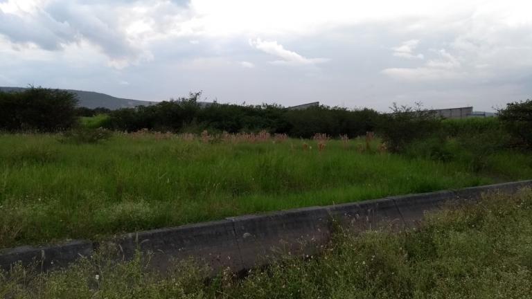 Excelente terreno de 600m2, Escrituras Publicas. - 6