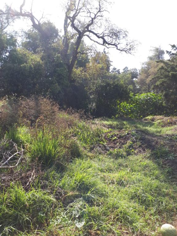 TERRENO EN VENTA BARRIO TEXCACOA TEPOTZOTLAN - 7