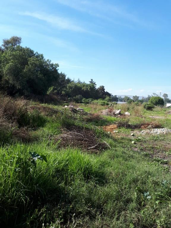 TERRENO EN VENTA BARRIO TEXCACOA TEPOTZOTLAN - 4