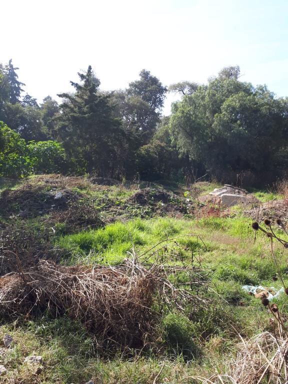 TERRENO EN VENTA BARRIO TEXCACOA TEPOTZOTLAN - 3