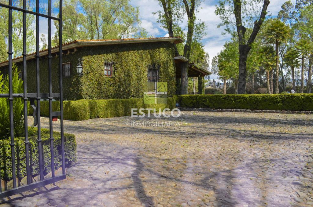 Rancho San Miguel de Allende con 4 recamaras jacuzzi - 8