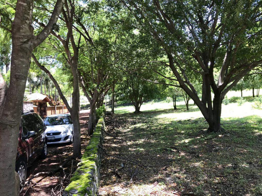 terreno en Morelos - 2