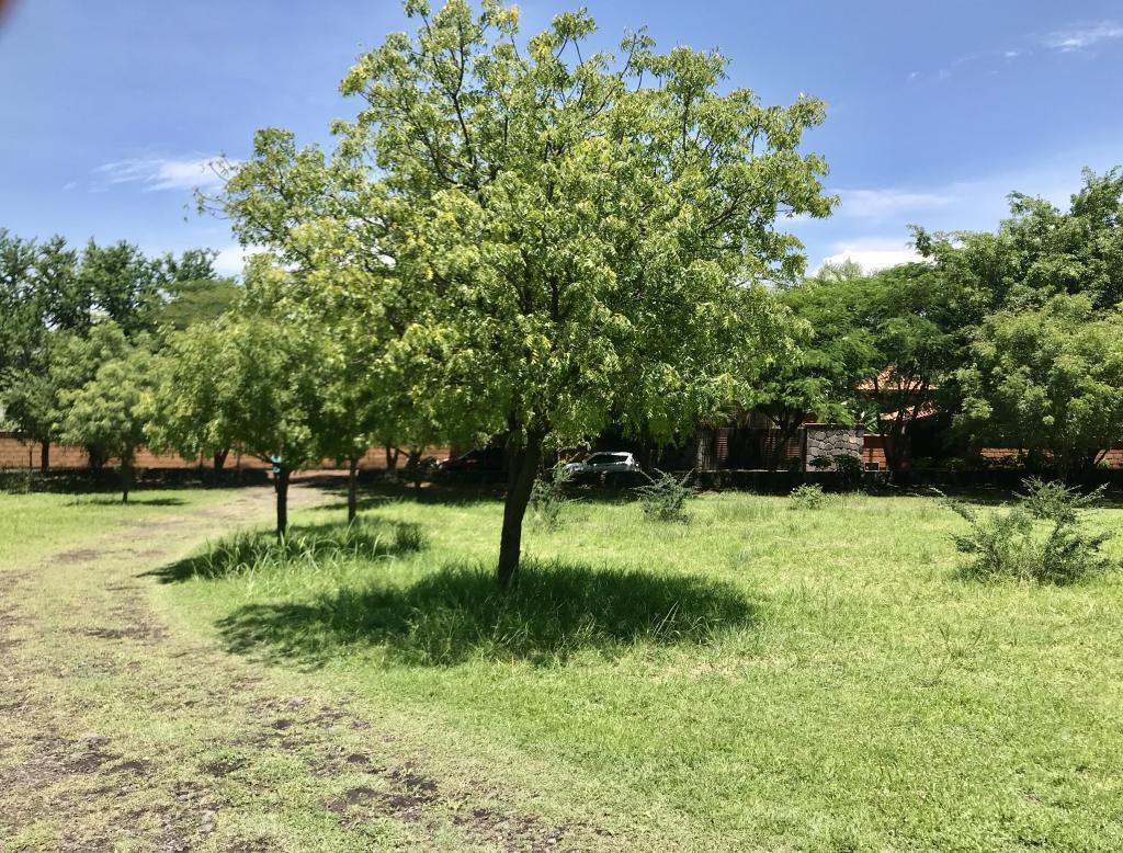 terreno en Morelos - 3