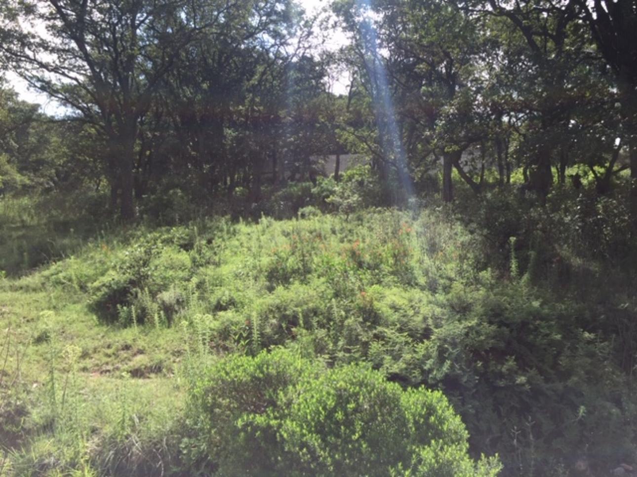 AMPLIO TERRENO EN VENTA UBICADO EN SAN MIGUEL CAÑADAS. - 5