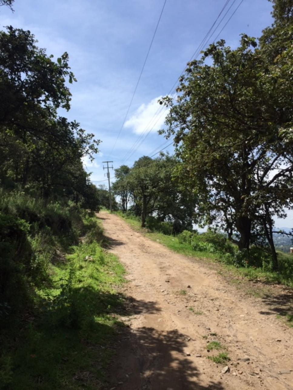 AMPLIO TERRENO EN VENTA UBICADO EN SAN MIGUEL CAÑADAS. - 6