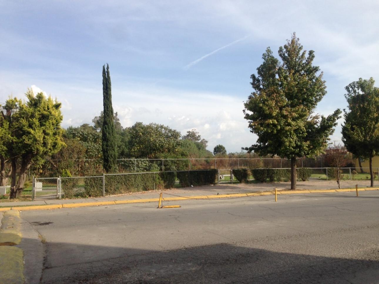VIVE VENDE TERRENO COMERCIAL PIEDRAS N., CHICOLOAPAN, EDOMEX - 3
