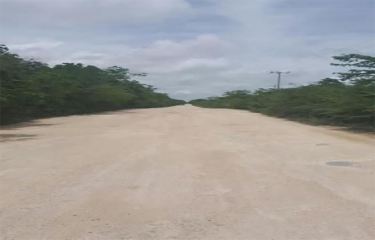 Terreno de 50 Has. 260m frente a Carretera. - 3