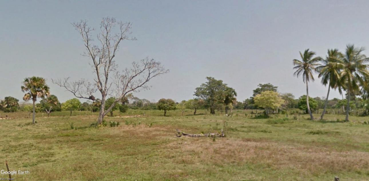 Venta de Isla en el delta del Grijalva. 408 Has - 2