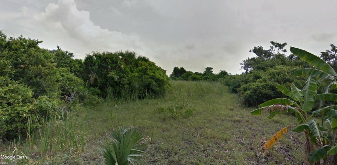 Venta de Isla en el delta del Grijalva. 408 Has - 3
