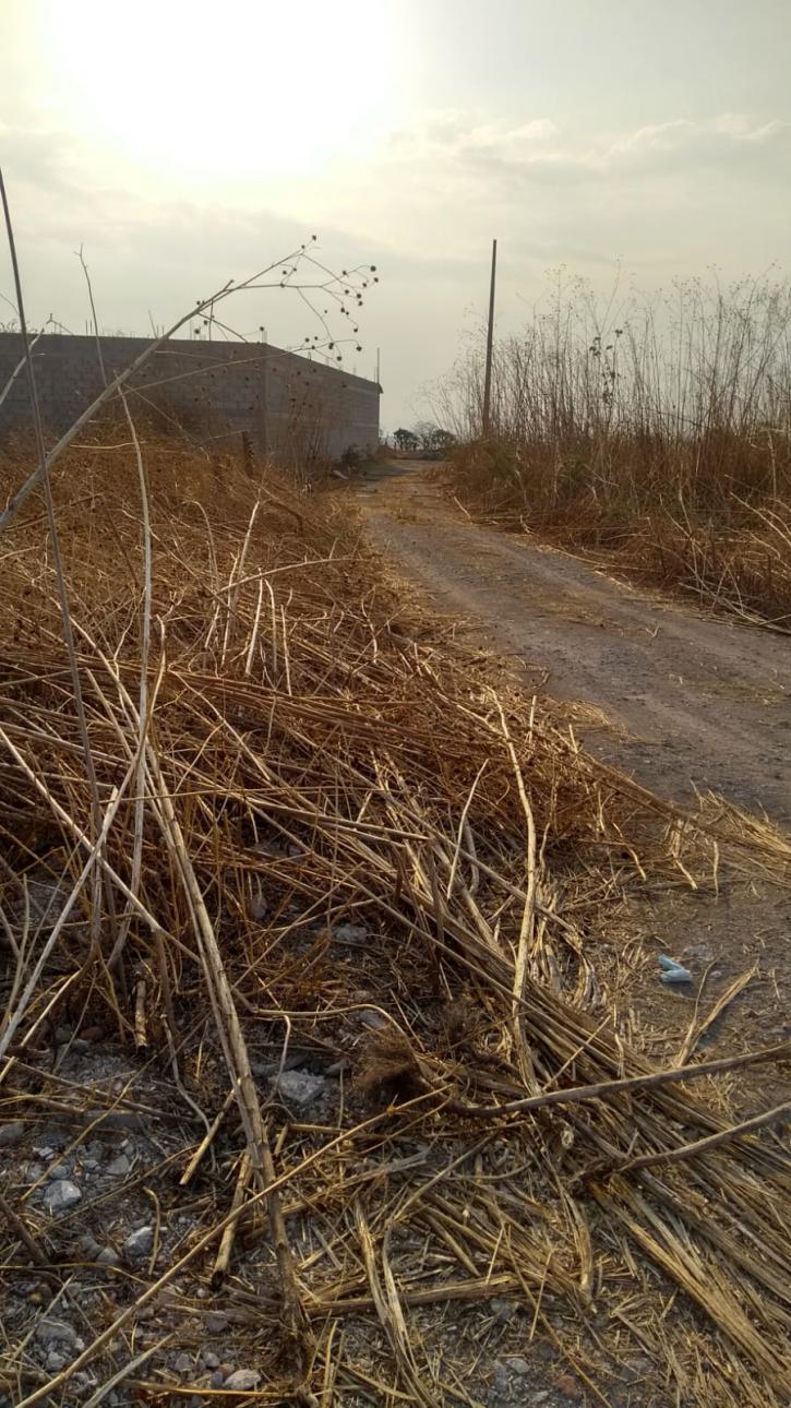 Terreno cerca del lago de Tequesquitengo 500m2 x el libramie - 5