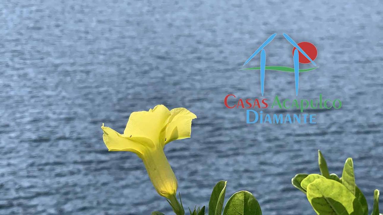 Cad Macro Lotes Residenciales Y Hoteleros En Pichilingue — foto 10
