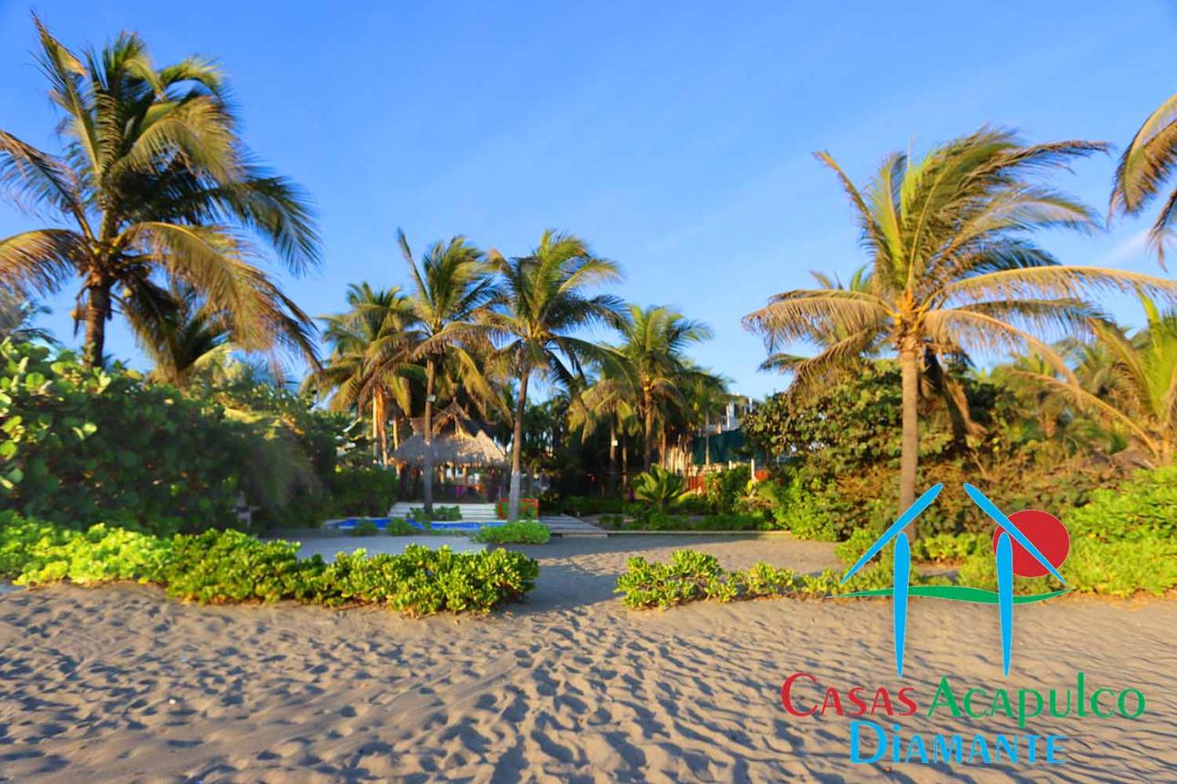 Salida A La Playa Privada. Dos albercas — foto 12