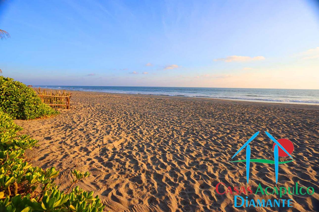 Salida A La Playa Privada. Dos albercas — foto 14