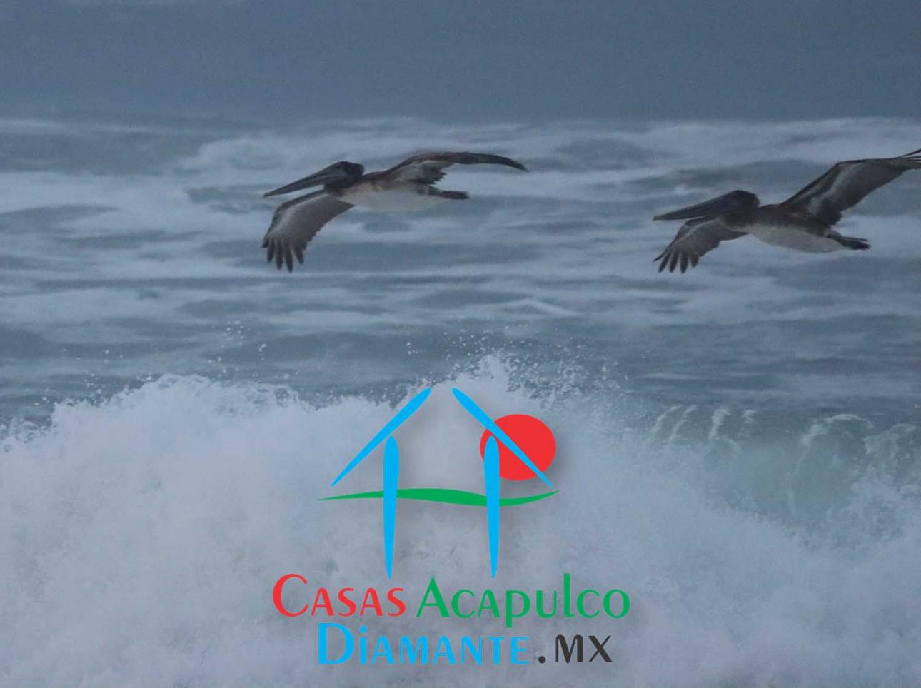 Cad Tres Vidas Lote De Playa. Vocación Residencial, Hotelera — foto 9