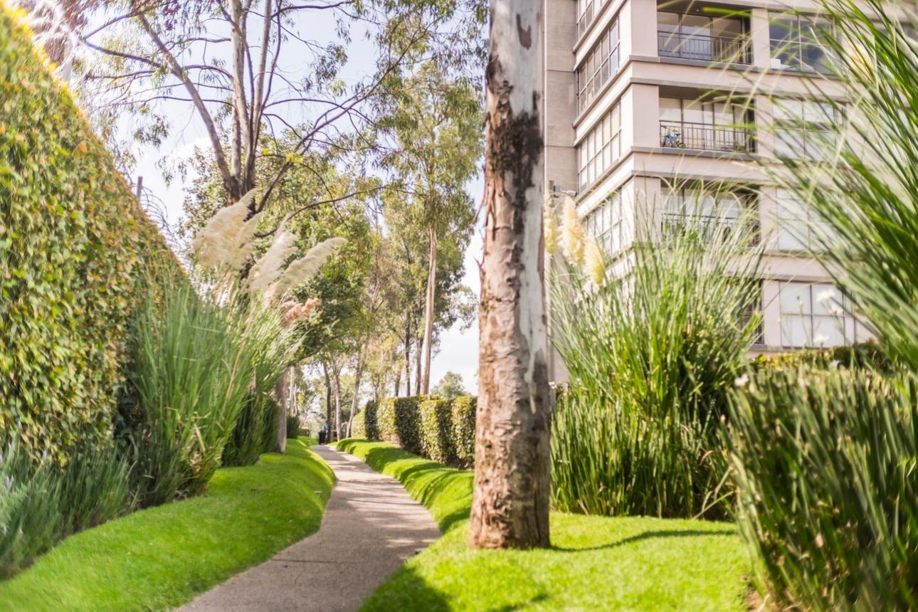 Departamento en renta en Santa Fe Be Grand Lomas — foto 8