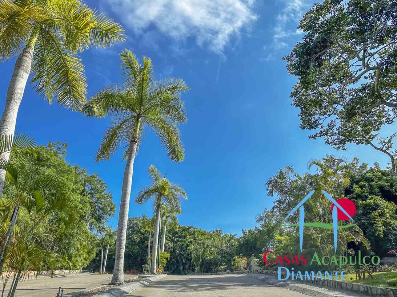 Tres Lotes residenciales con vista al mar en La Cima — foto 15