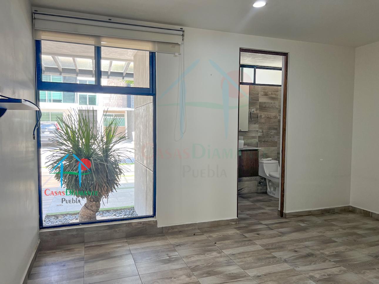 Casa en venta con jardín, Family Room y Roof Garden — foto 12