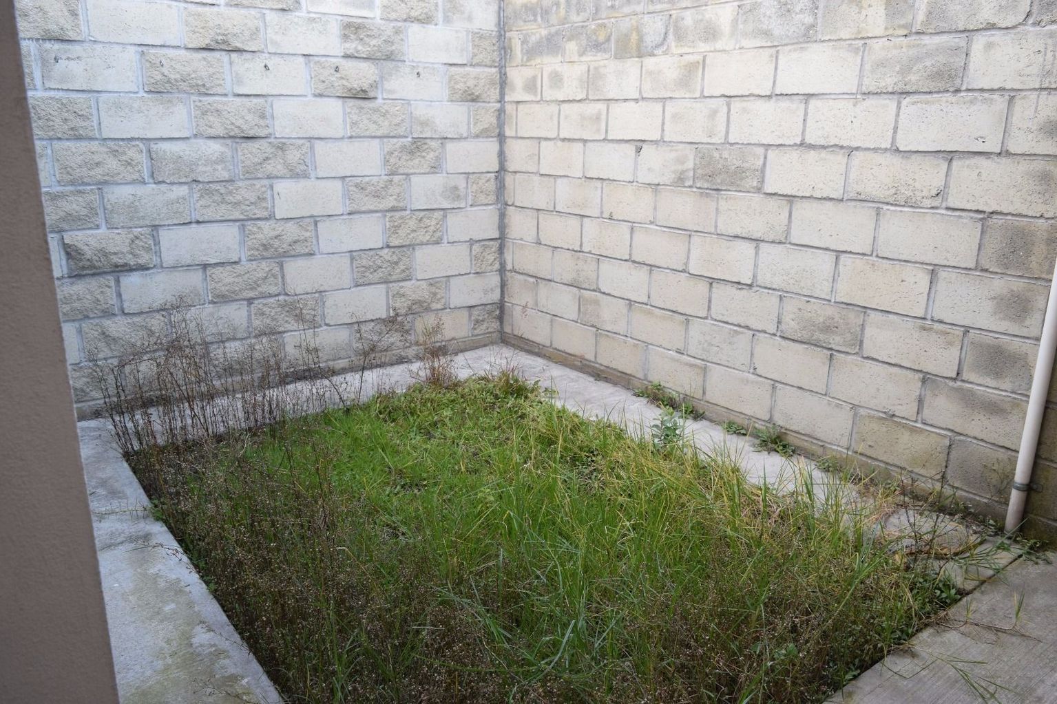 CASA EN VENTA EN PUEBL,FRACCIONAMIENTO PARQUE AGAVES, EN CUAUTLANCINGO - 9
