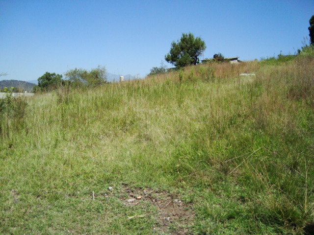 TERRENO EN VENTA EN PUEBLA,COLONIA ENCINAR - 1