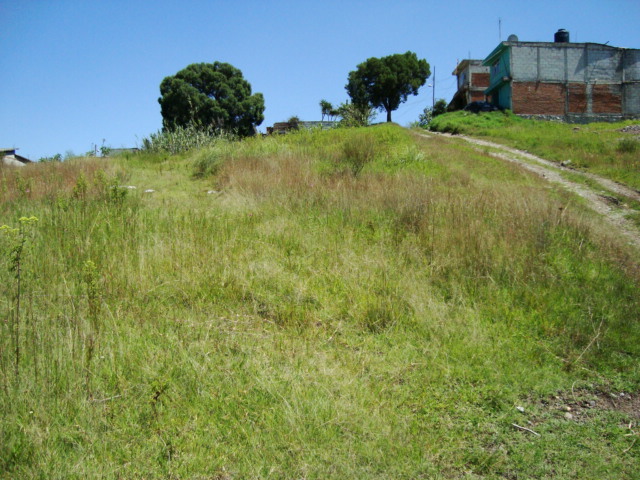 TERRENO EN VENTA EN PUEBLA,COLONIA ENCINAR - 2