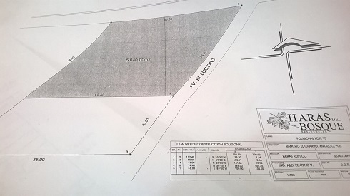 TERRENO EN VENTA EN PUEBLA,FRACCIONAMIENTO HARAS DEL BOSQUE - 1