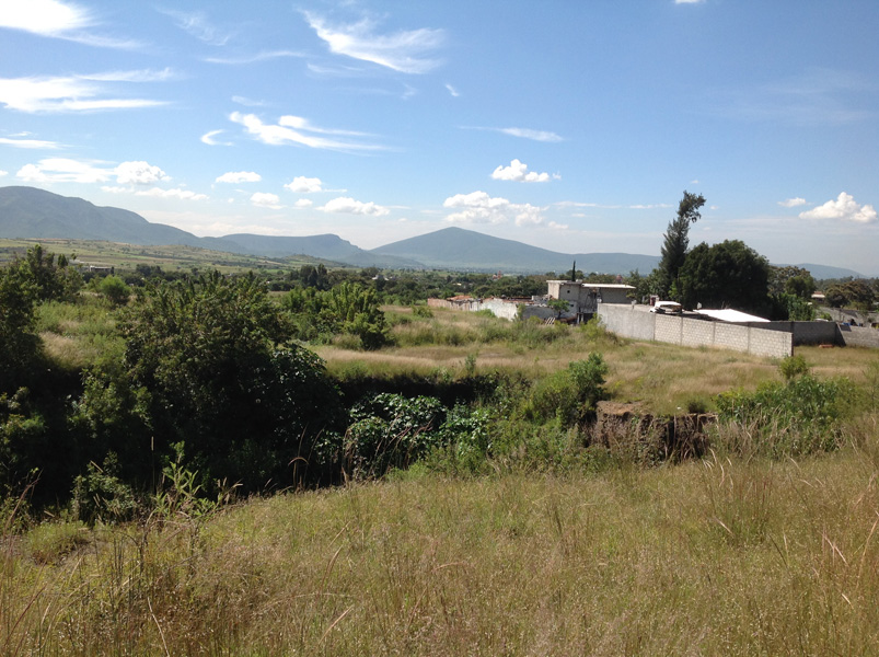 TERRENO EN VENTA EN SANTA ANA ACOZAUTLA - 2