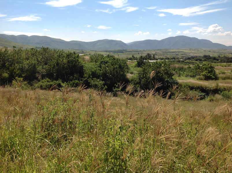 TERRENO EN VENTA EN SANTA ANA ACOZAUTLA - 4